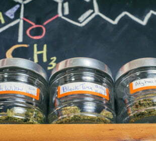 Dispensary Do's and Don'ts 58