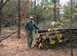 Local Property Taxes In New Jersey – A Primer