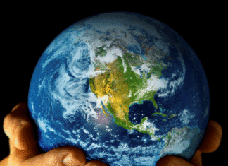 you are the light of the world | Go Light Our World