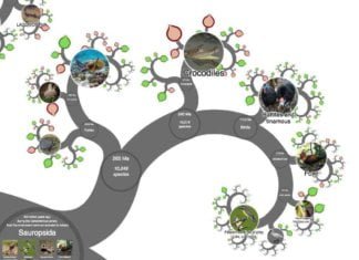 Extreme Biology – Life at All Scales and Energies
