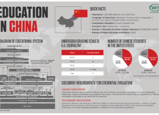 Brexit caused by low levels of education, study finds