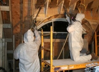 3 Things to Look for Before Hiring a Mold Removal Company
