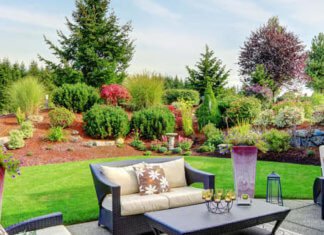 Five Surprising Benefits of Hiring Professional Landscape Designers