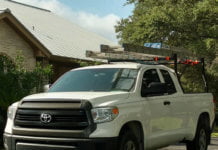 How to Choose the Right Wildlife Control Company