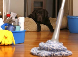 4 Ways to Improve Indoor Air Quality hzKUosGWzmq66oKCe42DKTuQsQI6EQX1cds5JXVA.jpeg