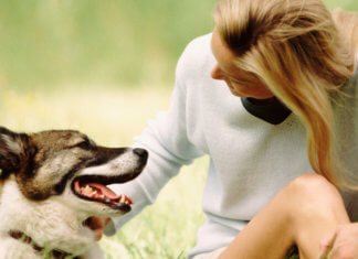 Canine owner warns others after puppy died after walking in Teesside park