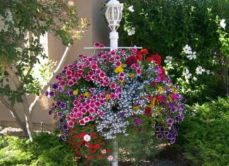 8 Vertical Gardening Ideas That Will Blow Your Mind