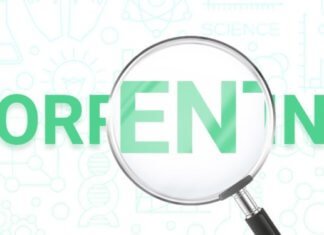 5 Best VPNs for Torrenting & P2P 2020