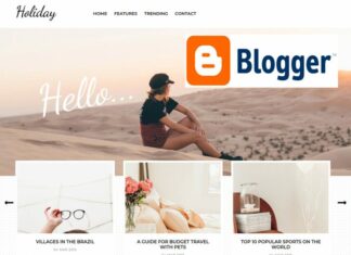Find The Perfect Blogger Template for Your Website