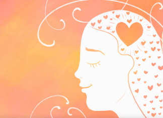 Authenticity by way of the SHED load: First wave of Shed of the Year 2006 finalists announced