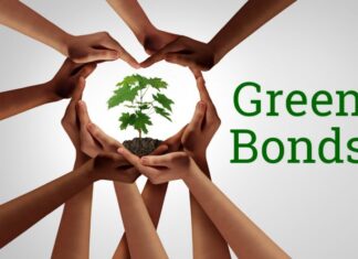 Green bonds can finance the future