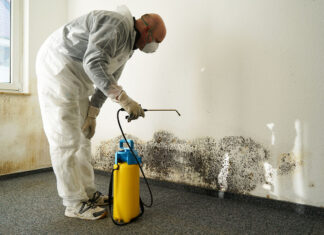Why and How to Hire a Mold Remediation or Mold Assessment Contractor