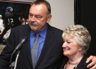 Unveiling the Artistry of Helen Essenberg