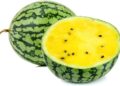 Discover the Sweet and Unique Flavor of Yellow Watermelon
