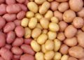 Delicious Russet Potato Recipes for Every Meal 5 Delicious Russet Potato Recipes for Every Meal
