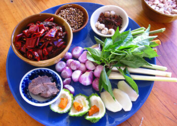 HOW TO INTEGRATE THAI CURRY PASTE INTO YOUR DISHES