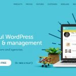 Web Werks Offers Professional and Advanced Managed WordPress 40