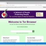 Tor Browser 7.Five out with security updates 40