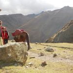 Expensive if govt hikes custom responsibility on import 40