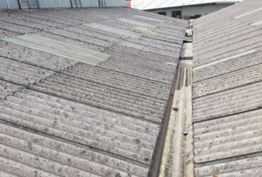 Questions to Ask Your Asbestos Removal Company 56 Questions to Ask Your Asbestos Removal Company 54