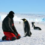 A law, this time for Antarctica 40