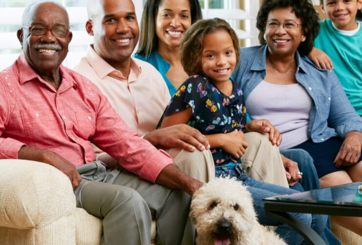 He removed circle of relatives to be sole owner of land 55 He removed circle of relatives to be sole owner of land 54