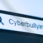 We Are All Internet Bullies 40