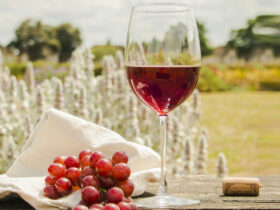 The Pitfall of Best Wine Membership 38