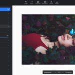 Fotor Review – A Free Online Photo Editor Simplified Design Process 39