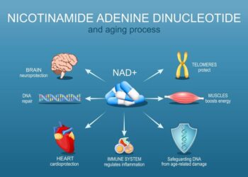 NAD⁺ IV Therapy: Exploring Its Impact on Cellular Aging and Longevity
