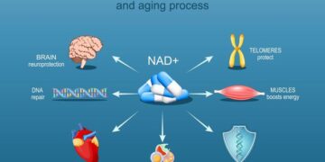 NAD⁺ IV Therapy: Exploring Its Impact on Cellular Aging and Longevity