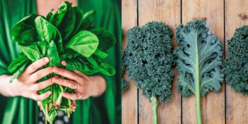 Cooking Tips To Make The Healthiest Foods Taste Delicious 4