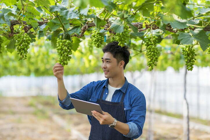 Financing options for agriculture business owners in India