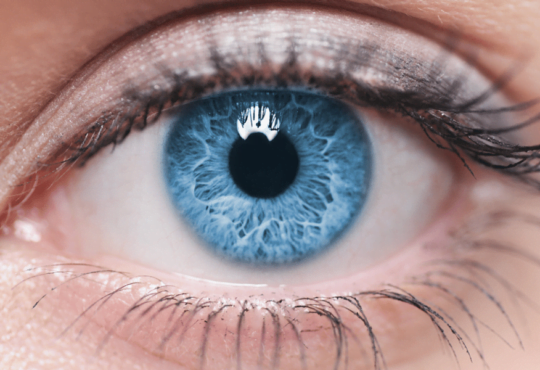 In love and in existence, the eyes have it 21