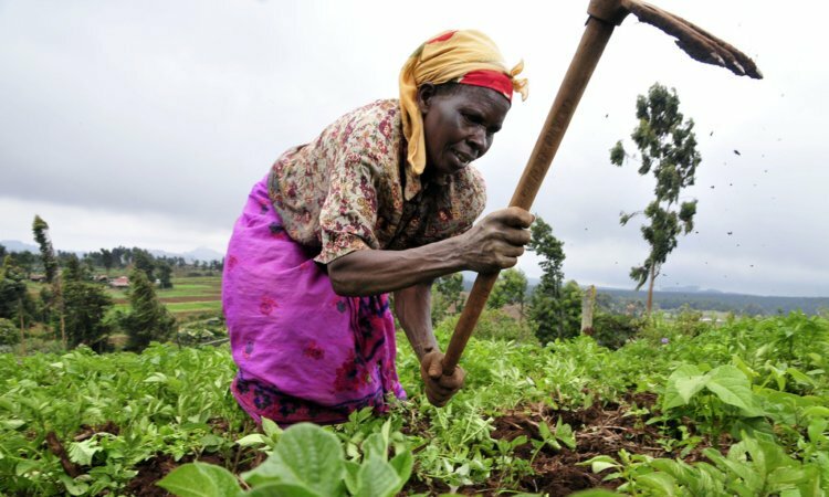Mobile app deliberate to empower farmers 4