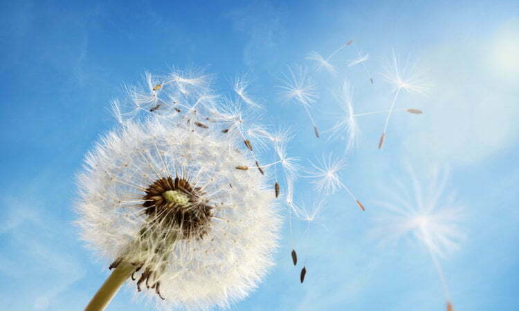 Unmistakable Characteristics of Life 7