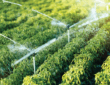 The Most Common Irrigation Methods 13