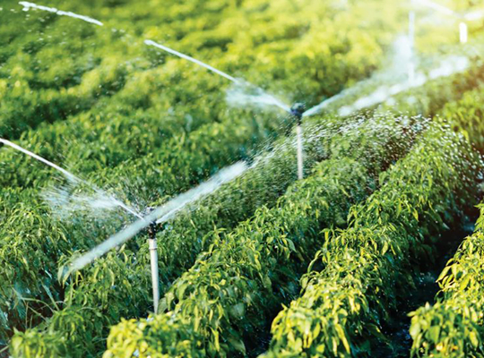 The Most Common Irrigation Methods 5