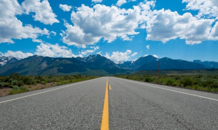 Move over Raju the manual, the Ph.D. journey expert's right here 4