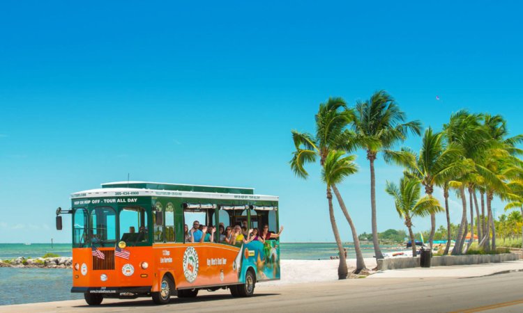 Learning a way to paddle board is a completely unique manner to tour 2