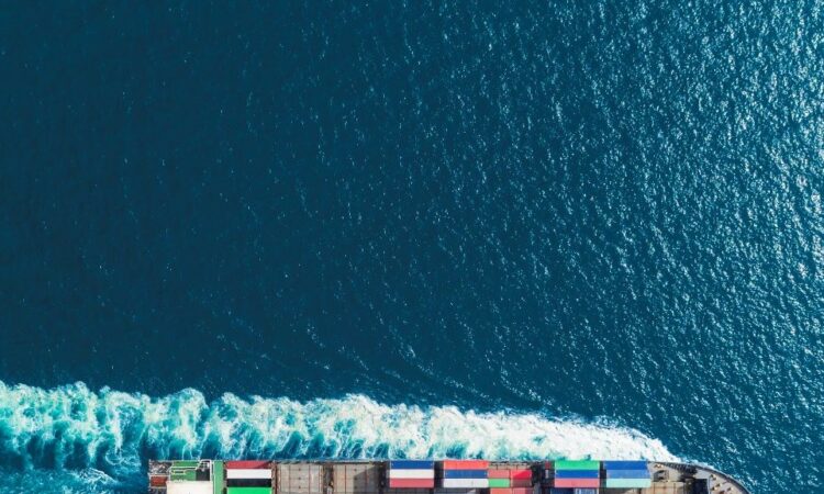 What Should You Look for While Shipping Goods? 7