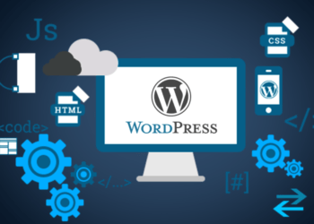 Why a young start-up should choose WordPress?