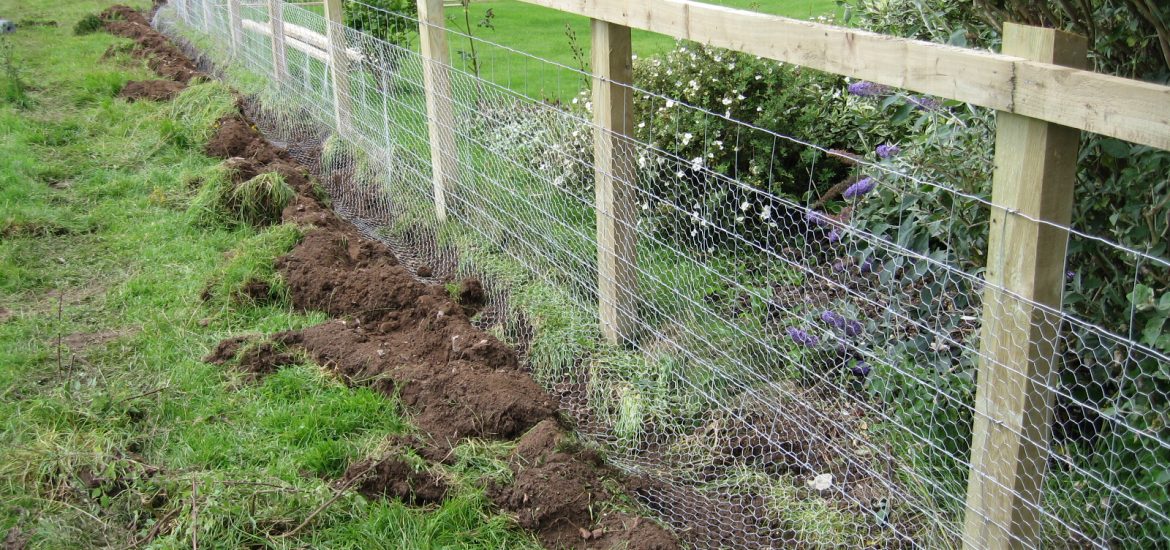 personal schooling is guarded by way of an electric powered fence