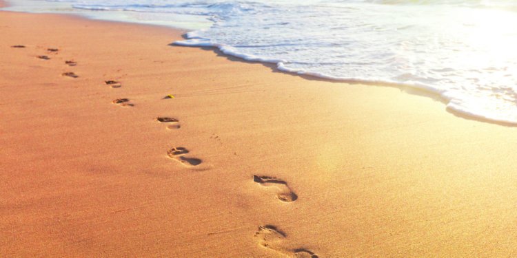 How accountable tour ideas can lessen carbon footprints