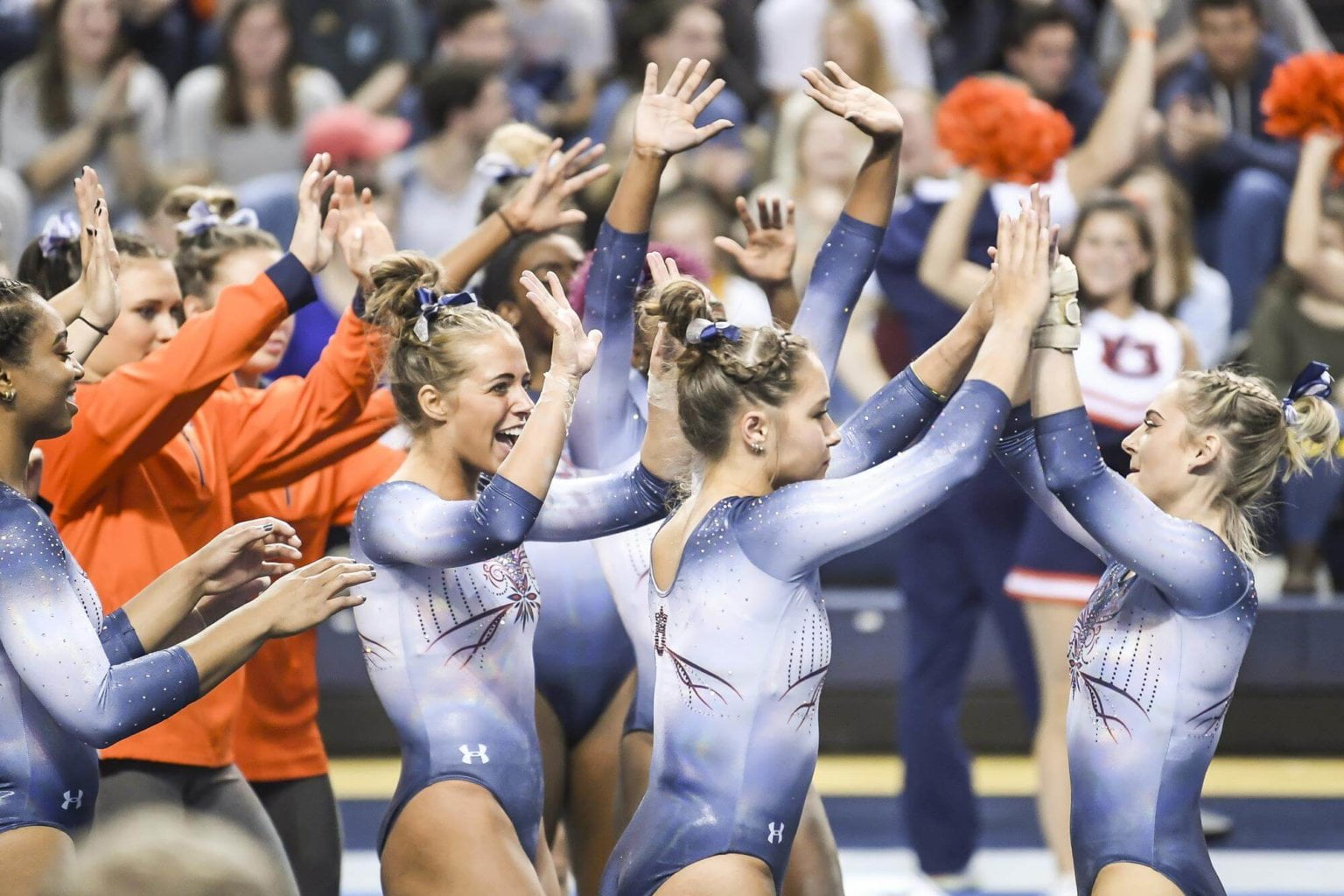 Gymnast Taylor Krippner wins a prestigious internship Waron Brain