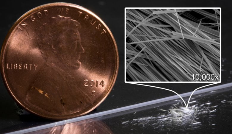 5 clothier chromosomes convey synthetic existence a step nearer 3