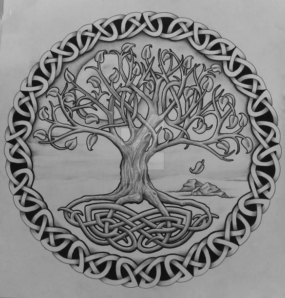 Explaining the Hidden Meaning of the Celtic Tree of Life 1