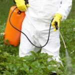 Glyphosate Detox: Natural Ways to Cleanse Your Body from Roundup Exposure 1