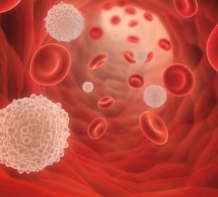 Cure Leukaemia unveils 100 supporter plaques for World Blood Cancer Day 10