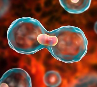 ASCO 2019 news: focused on breast cancer 6